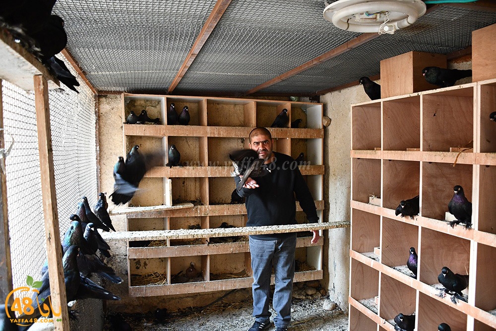 zohdi 3ashoor (125).jpeg